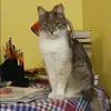 Отзыв от Марина Демьянова